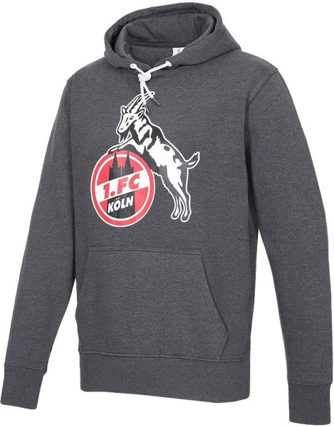 1. FC Köln Hoodie Basic Anthrazit 2010834