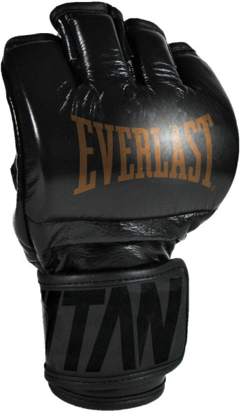 Everlast Boxhandschuhe Titan Pro Mma Glove P0000317