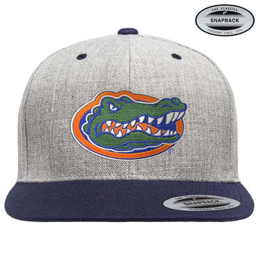 University of Texas Florida Gators Albert Premium Snapback Cap Heathergrey/Navy