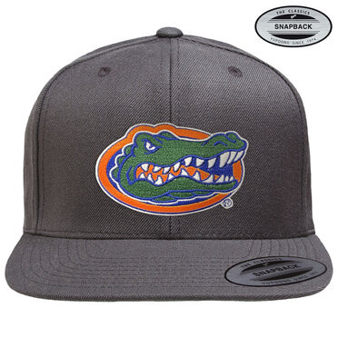 University of Texas Florida Gators Albert Premium Snapback Cap Darkgrey