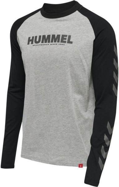 Hummel Longsleeve Hmllegacy Blocked T-Shirt L/S