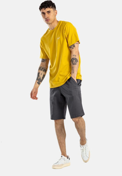 Reell Short Flex Grip Chino Short 1203-005