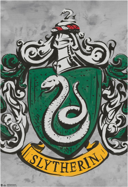 Harry Potter Slytherin Poster 3 Multicolor