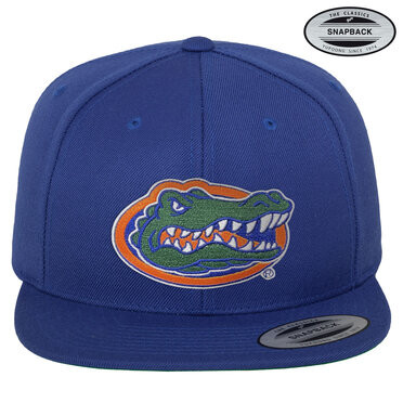 University of Texas Florida Gators Albert Premium Snapback Cap Blue