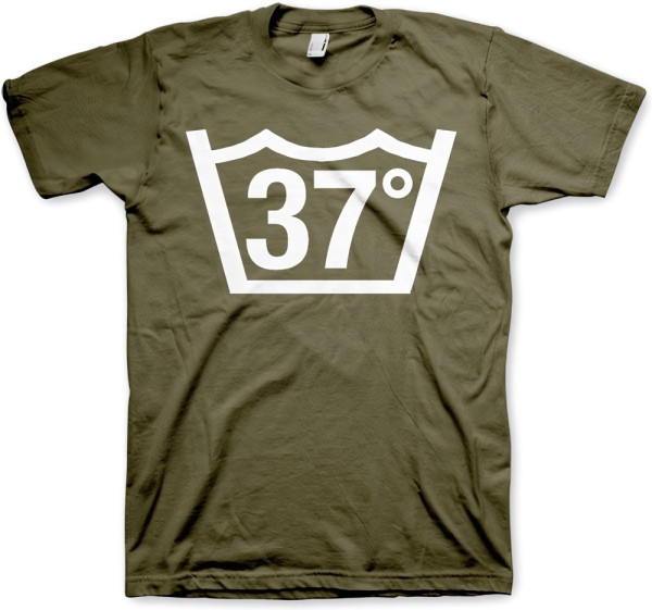 Hybris 37 Celcius Tee T-Shirt Olive