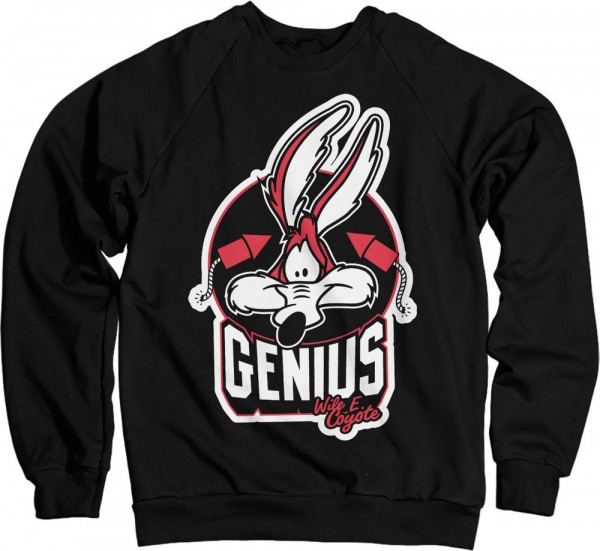 Looney Tunes Wile E. Coyote Genius Sweatshirt Black