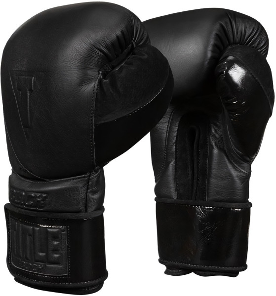 Title Boxhandschuhe Schwarz 2.0 BKTG2